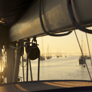 Photo_Comp_2014-16