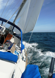 Photo_Comp_2014-28
