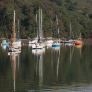 Early morning reflections on the River Yealm