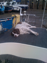 crew-to-stand-down-tide-gone-john-norman_23334913672_o
