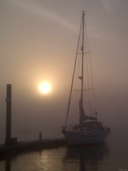 early-morning-mist-nigel-campling_23134249200_o