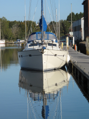 seafox-at-newport-les-webb_23337756562_o