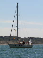 commitee-boat_38955719344_o