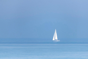 out-of-the-blue_49404206127_o