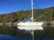 perfect-morning-loch-sween_49403528238_o