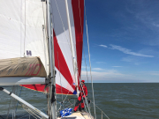 sails-out_49404006146_o