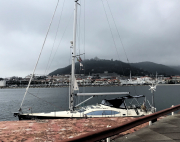 Any-port-in-a-storm