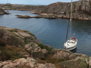 Nose-to-rocks