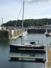 Southerly-beauty-catches-the-eye