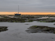 Flying-Cloud-golden-horizon