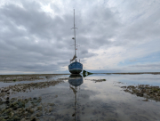 Mirroring-on-the-dry-scaled