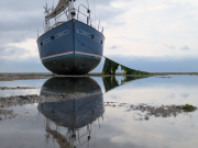 Seawead-on-anchor-chain-scaled