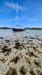 Zelda-Tresco-scaled