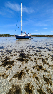 Zelda-Tresco-scaled