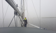 fog-scaled