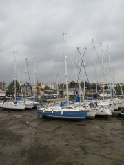 Ryde_2015-2