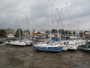 Ryde_2015-5