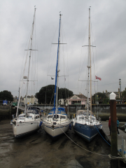 Ryde_2015-8